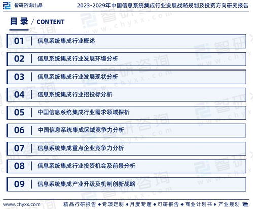 信息系統(tǒng)集成行業(yè)市場(chǎng)集中度與投資前景分析報(bào)告（2023版）