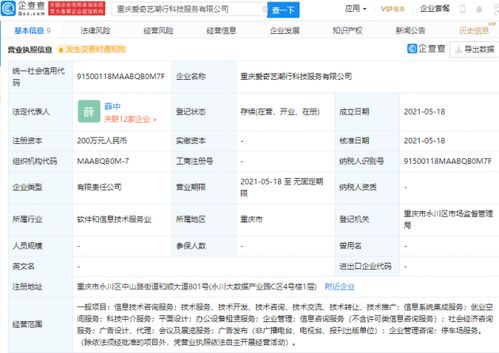 愛(ài)奇藝布局科技服務(wù)新領(lǐng)域 參股成立科技服務(wù)公司